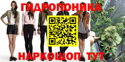 стафф Бузулук